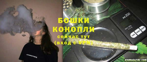 СК Богородск