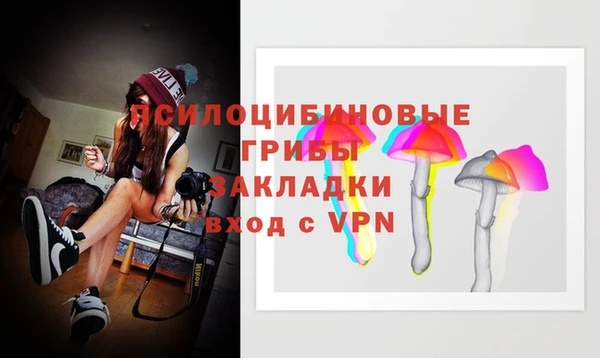 MESCALINE Богородицк