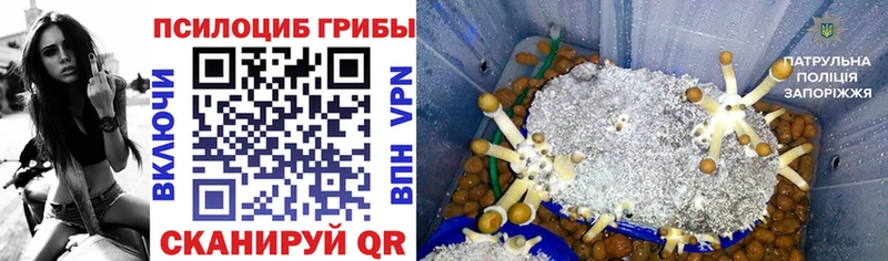 Галлюциногенные грибы мицелий  Мышкин 
